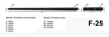 Seitenschutzleisten schwarz für Volvo C30 Kombicoupé Typ M Bauj. 2006–2012 F25 c