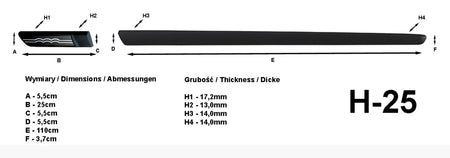 Seitenschutzleisten schwarz mit Logo silber für Fiat 500 Baujahre 2007-2011 H25 c