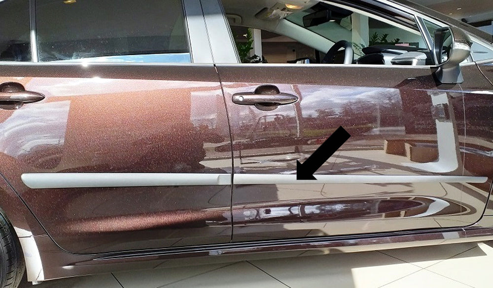 Seitenschutzleisten schwarz für Suzuki Swace ab Baujahr 11.2020- F16/20 e